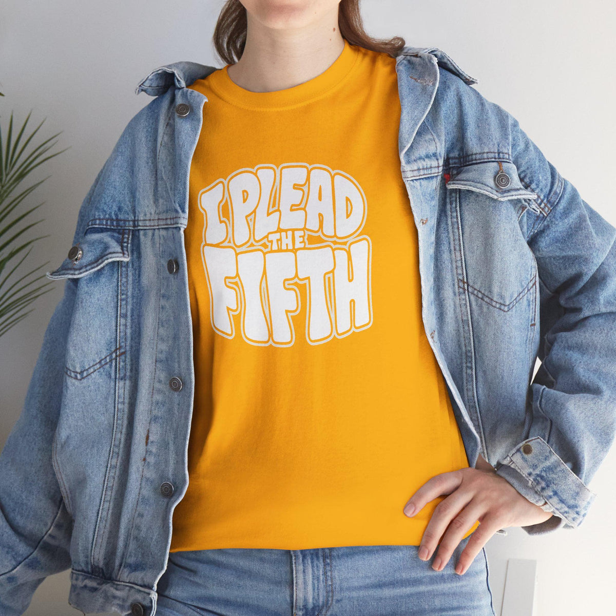 I plead the 5th T-Shirt |